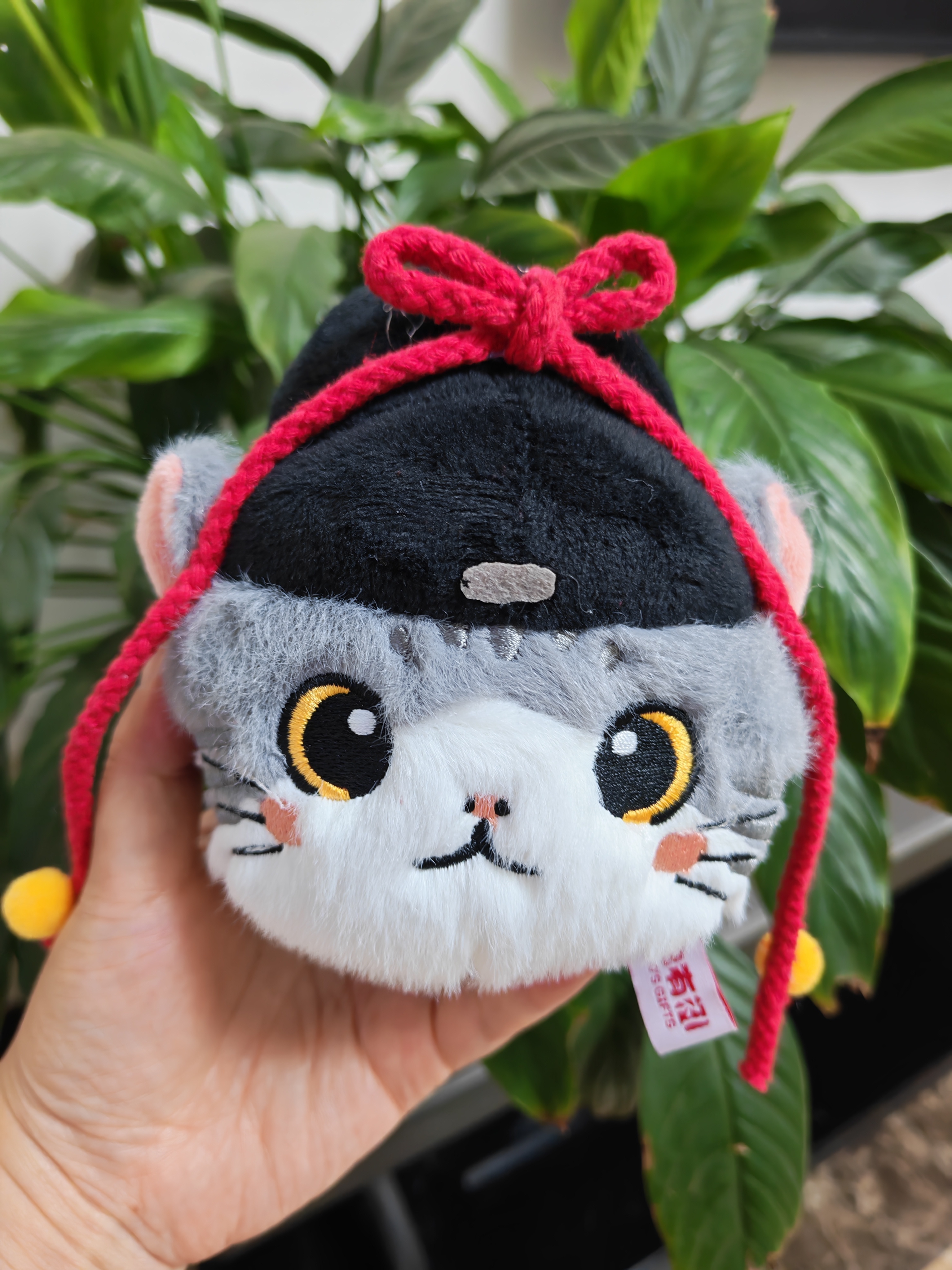 杨洋 买了两个超级可爱的御猫杨洋展昭杨洋雨霖铃﻿杨洋被美貌忽略的演技