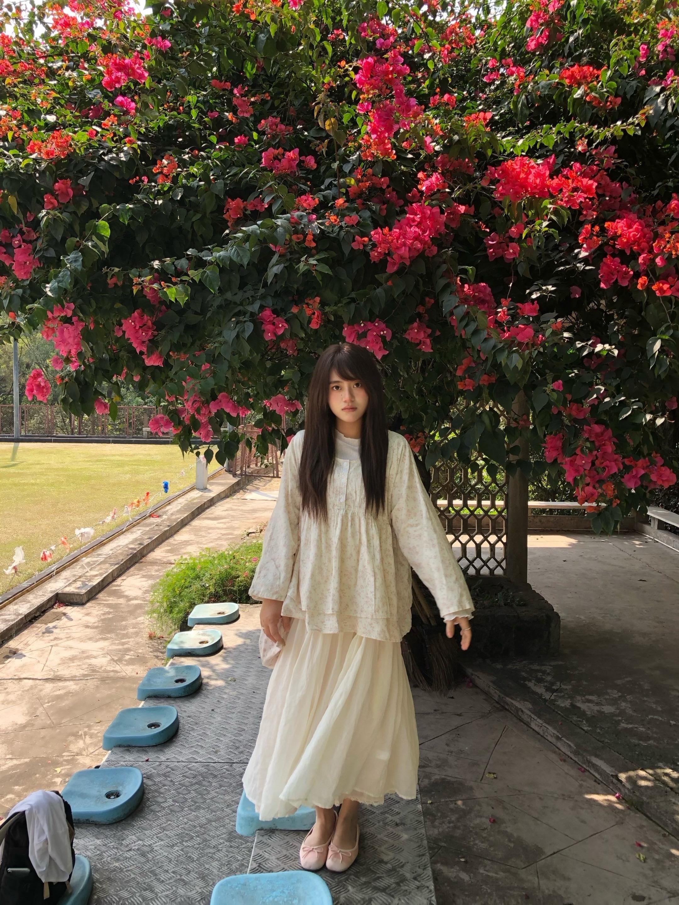 我的思绪在春天发芽 长满一棵大树。