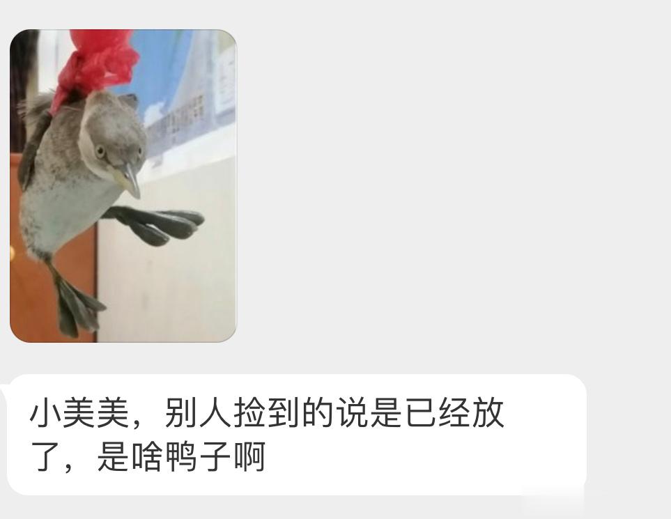 脚丫子很特别的【小xiǎo䴙䴘】眼神很无助🙊 ​​​