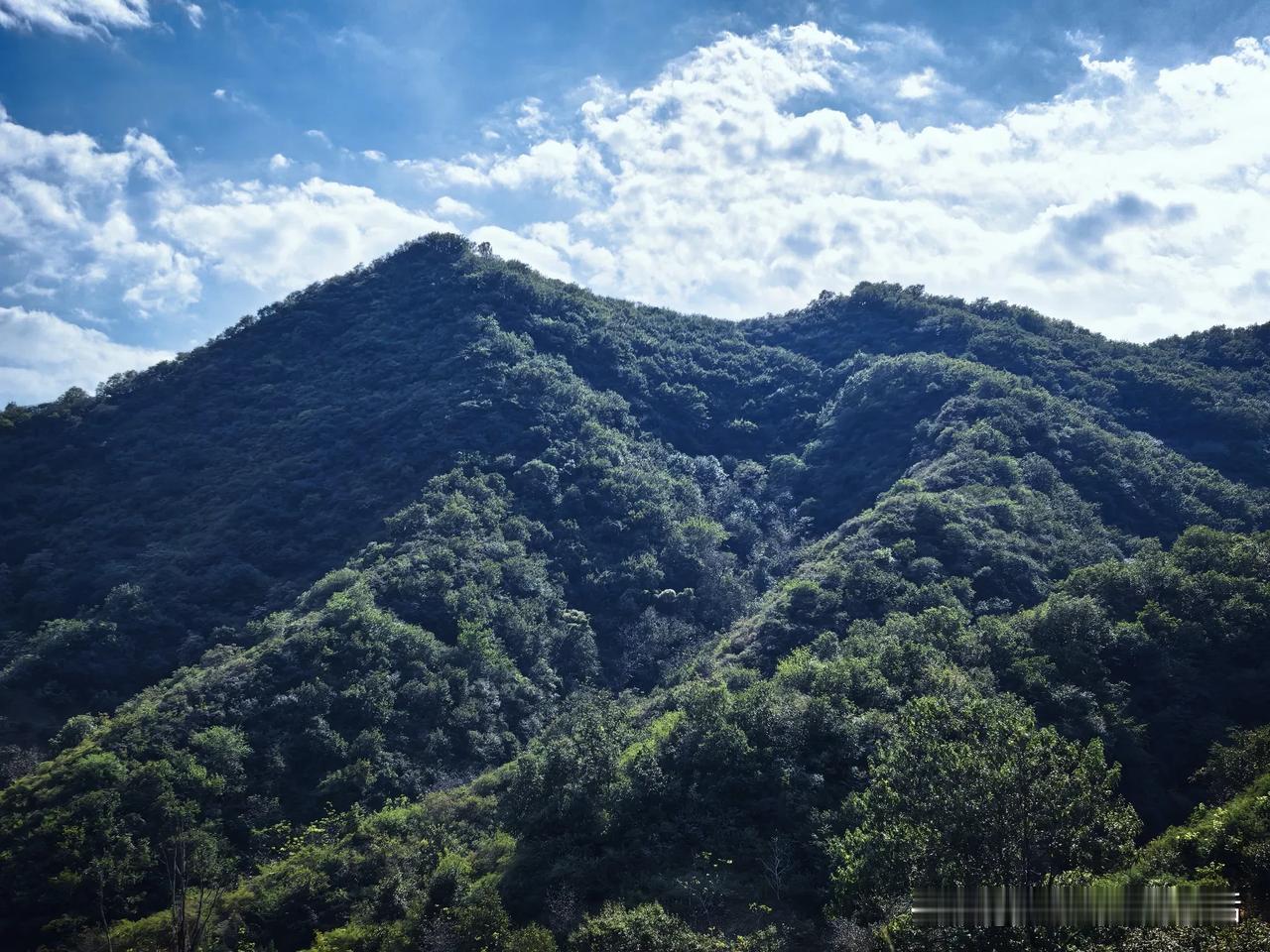 我就在自己家里过节。
如果回家指在外打工的人回老家，我就不存在这个问题。如果指回