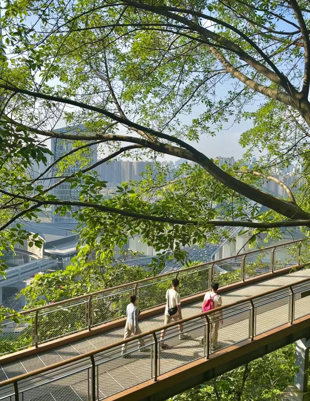 重庆，适合春天徒步的路线。。。（合集）
图1-3：半山崖线
🚇：9号线化龙桥站