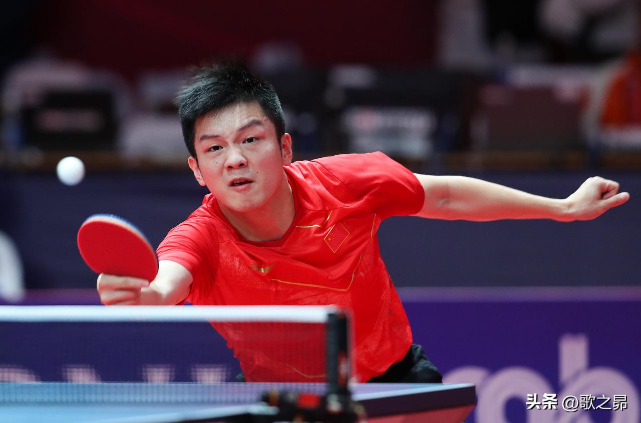 为什么被叫做“小胖”
樊振东确实不算胖，但波尔说他小时候“胖乎乎”的，所以被叫“