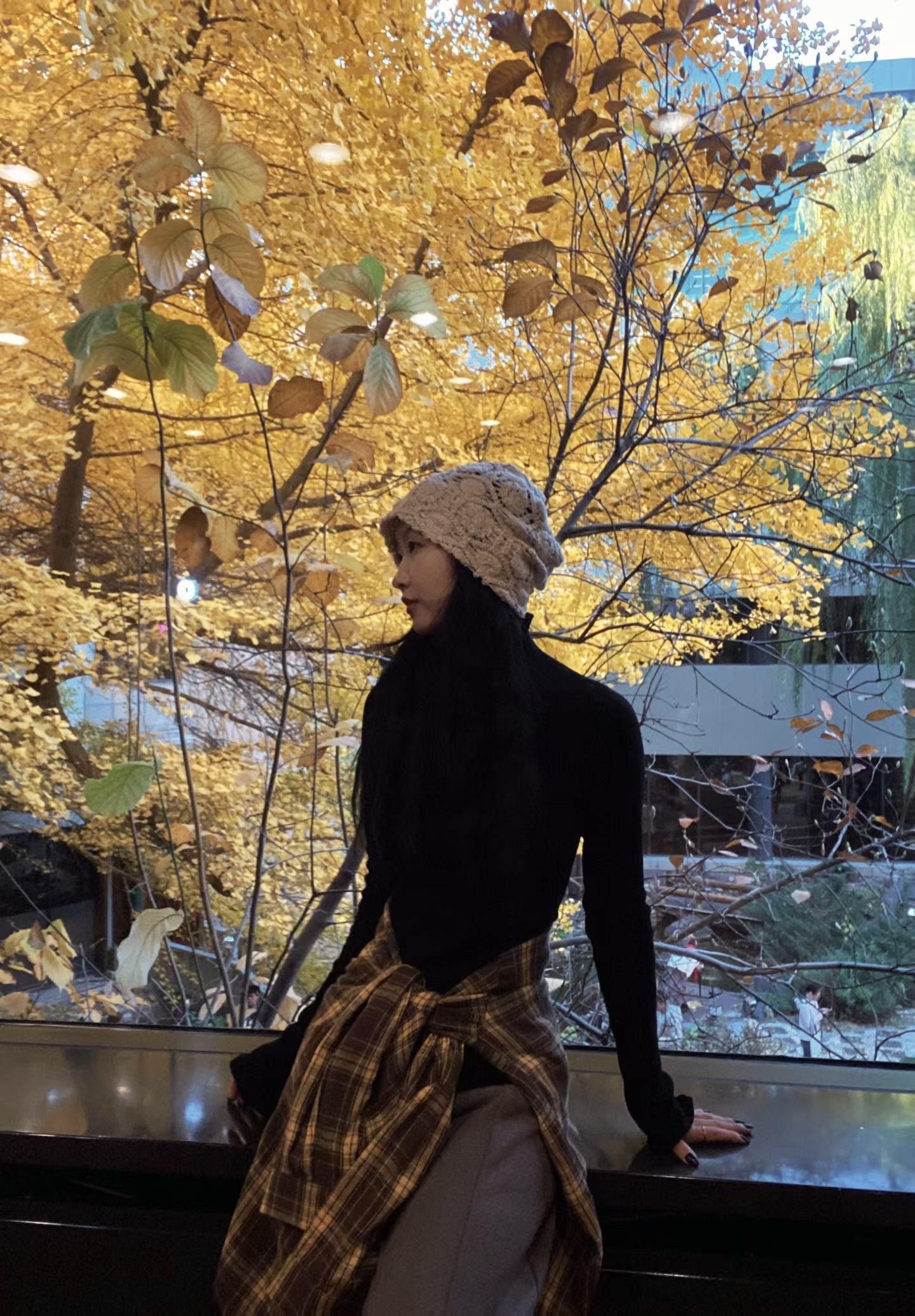 阅尽满眼秋色。