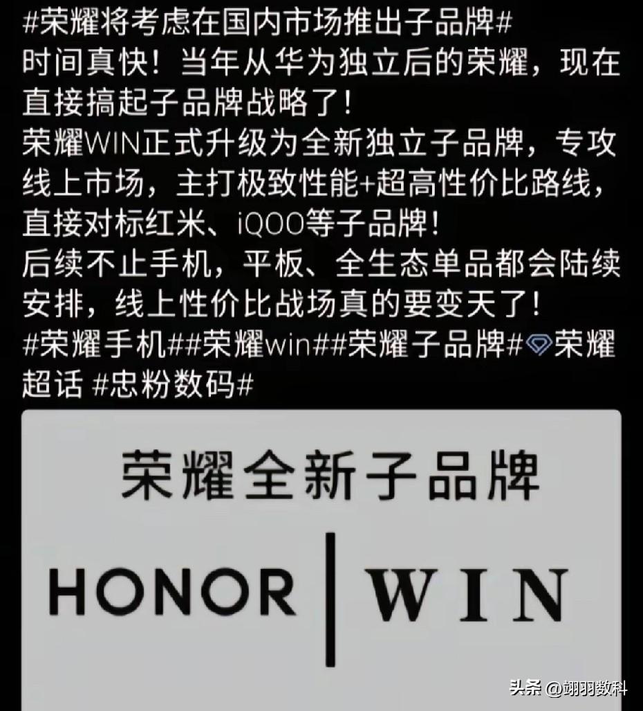 荣耀成立全新子品牌，是今年笃定要实施的战略了。
为提升荣耀的市场占有率，想必会如