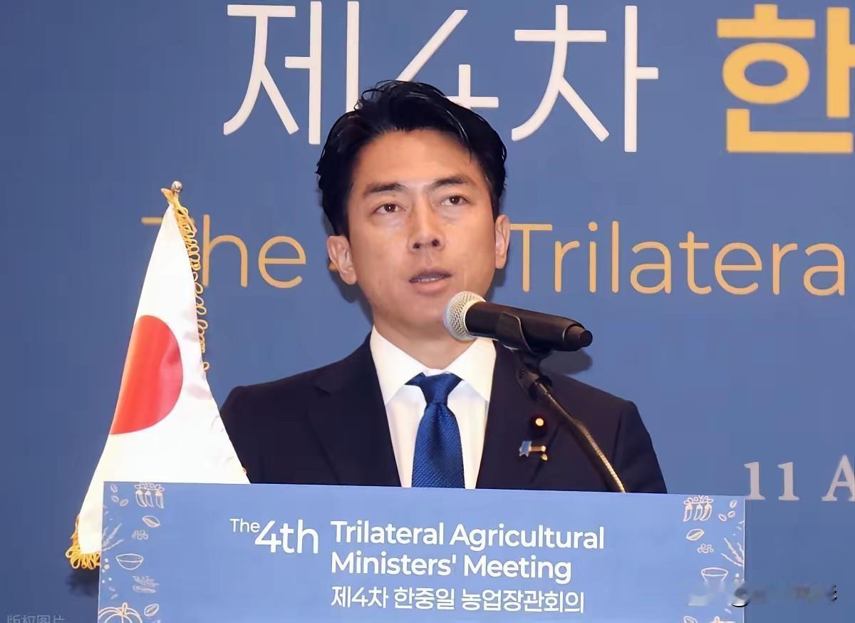 都先别激动！小泉进次郎这番表演，本质上是一场精心设计的战略碰瓷。他的目的就是诱使