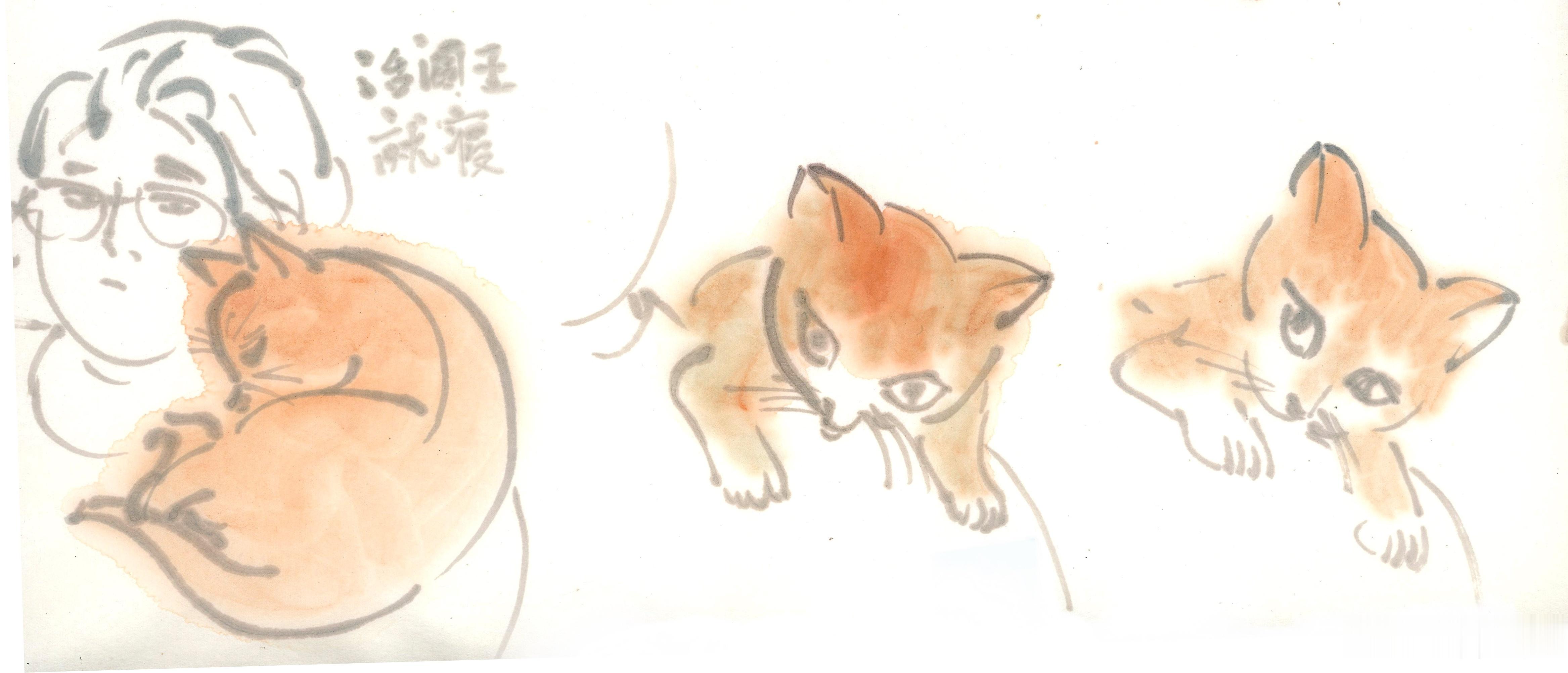 速写