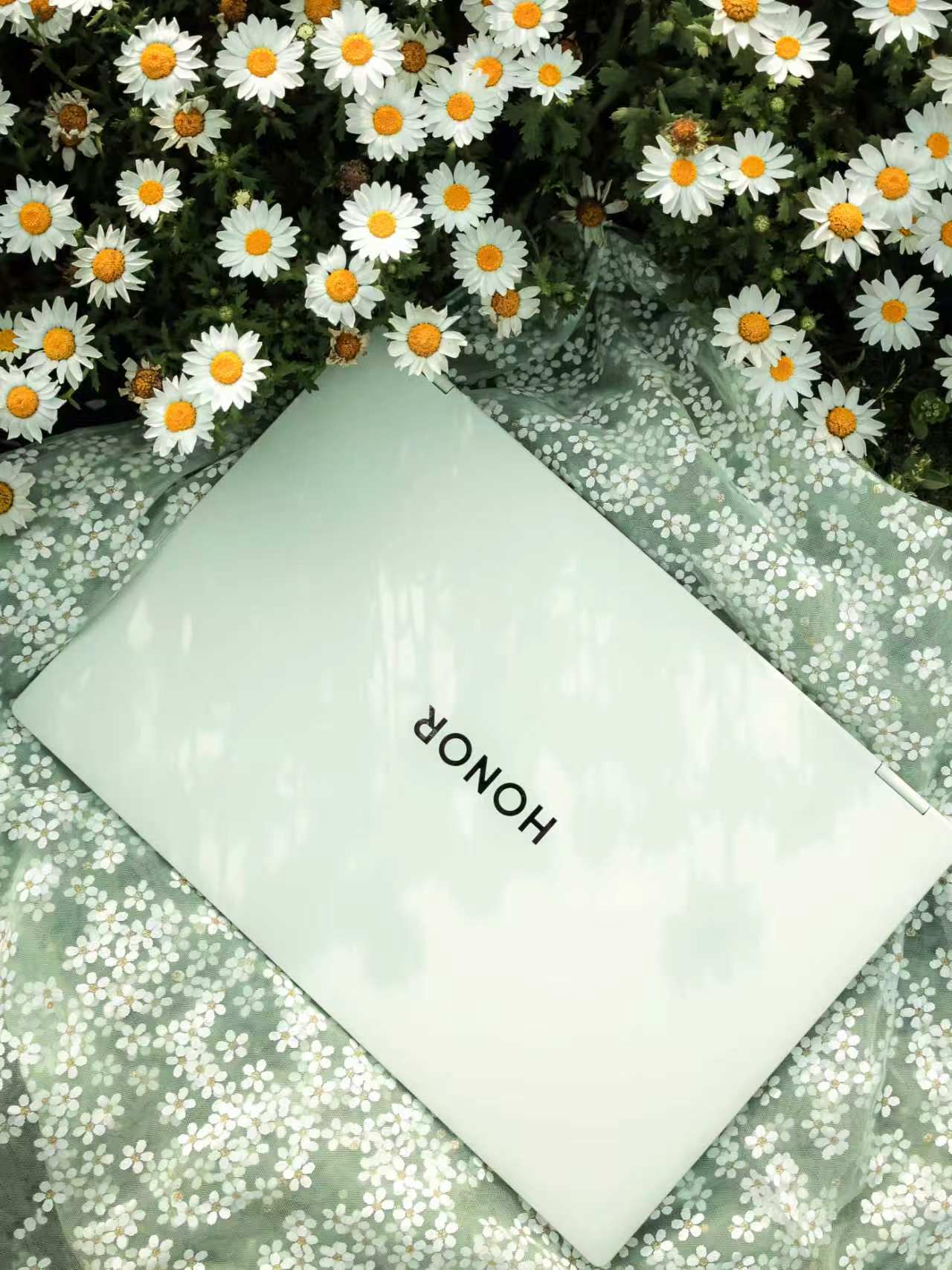 高颜值轻薄本，性能续航双在线荣耀这款2026款轻薄本颜值和实力都很在线，日常办公