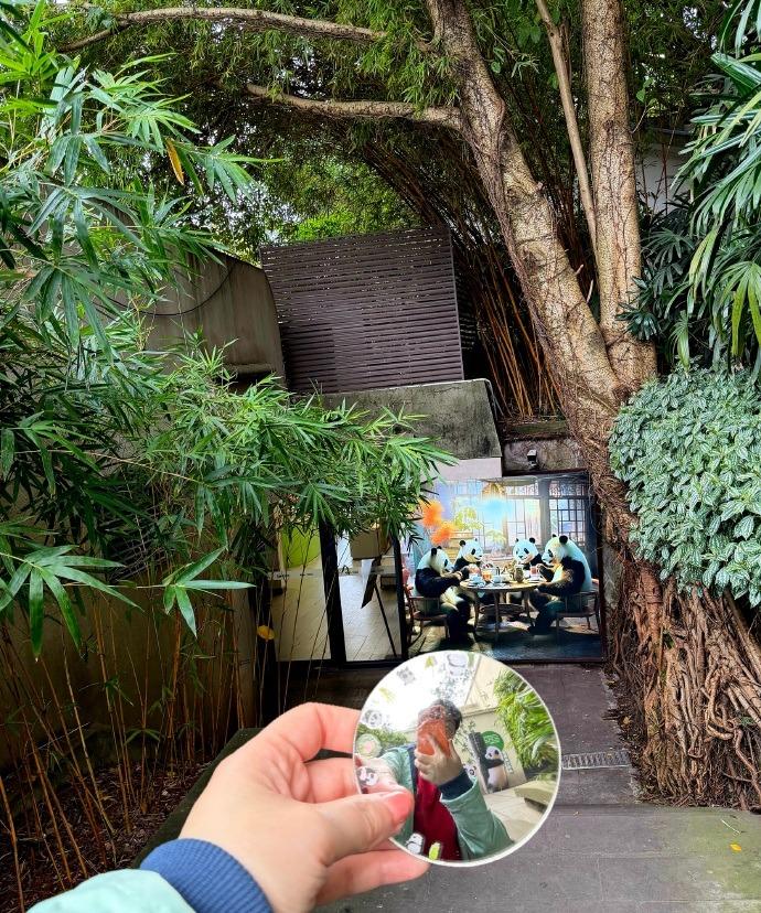 和熊猫家族入镜
拍摄于2026年3月6日 重庆动物园
我很喜欢重庆动物园这个走廊