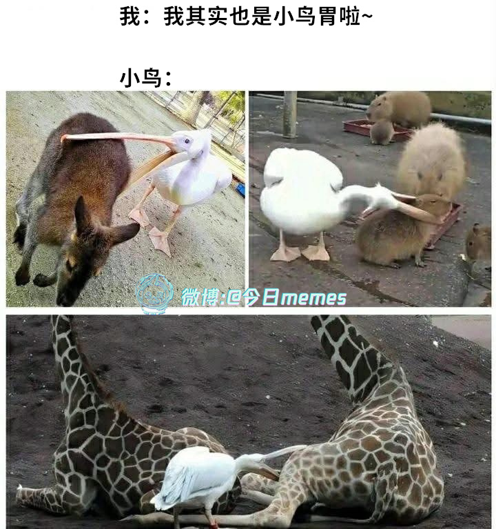 我量着呢（9gag）今日meme[超话]今日memes ​​​