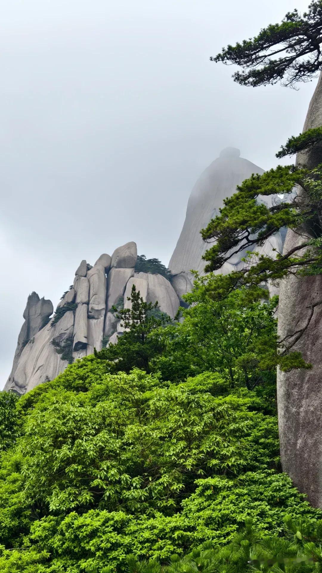 安庆的旅游资源十分丰富

1、特色景区
安庆5A级景区天柱山是当地招牌，山水秀美