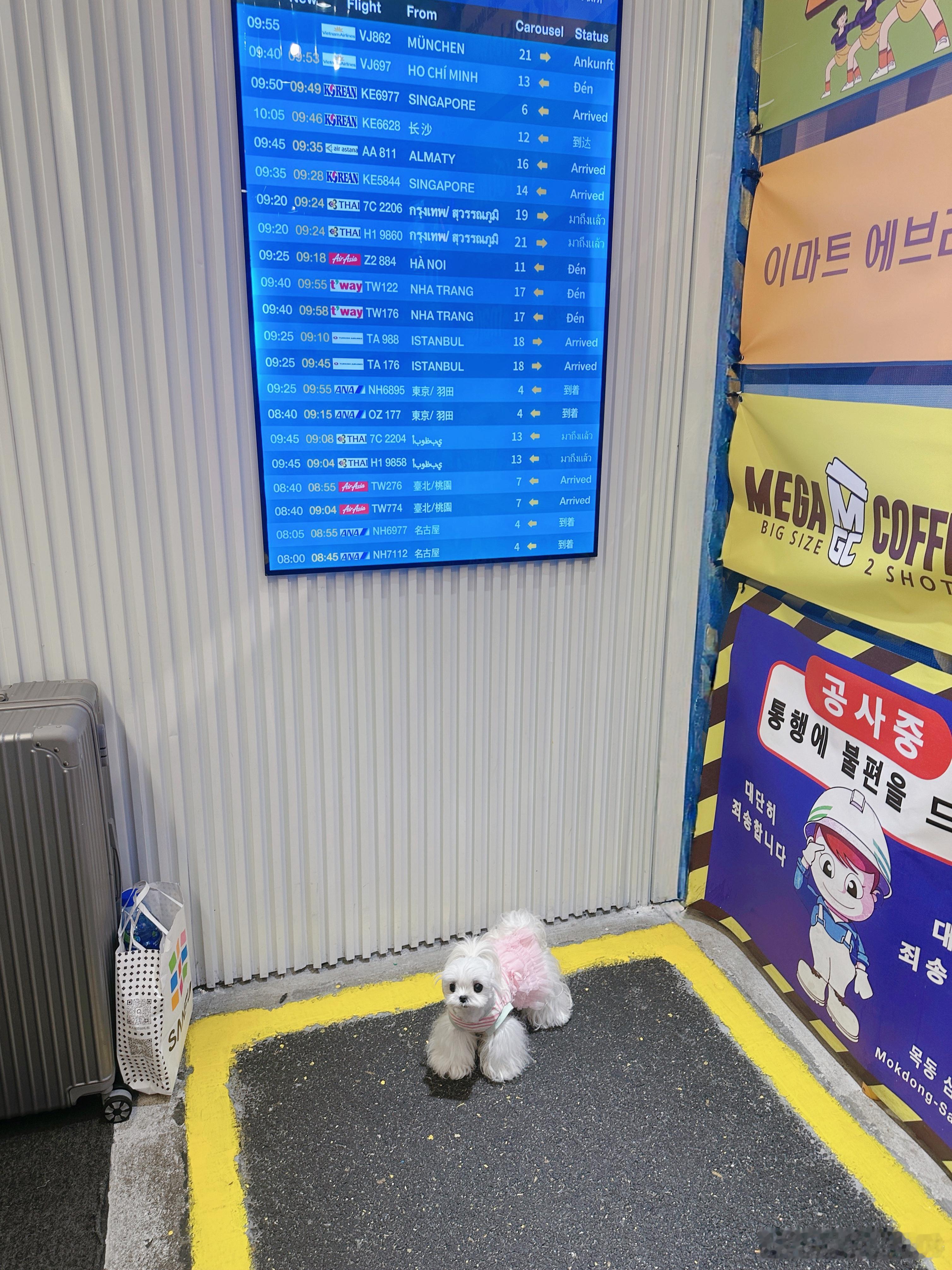 米团发来小韩明信片🛫 ​​​