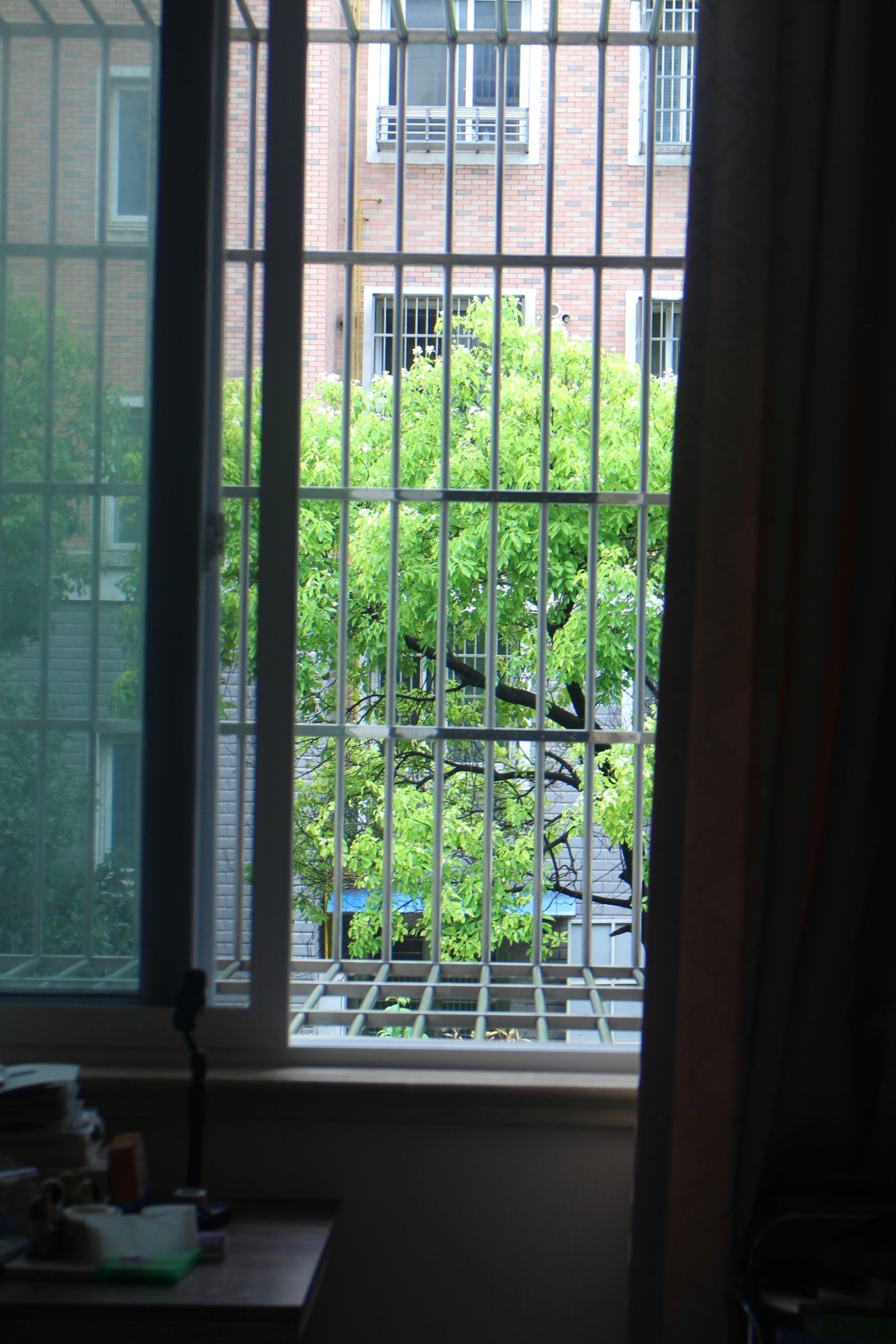 2024拍了很多照但没有分享的欲望，到2025我又重拾分享欲了[女孩儿] 