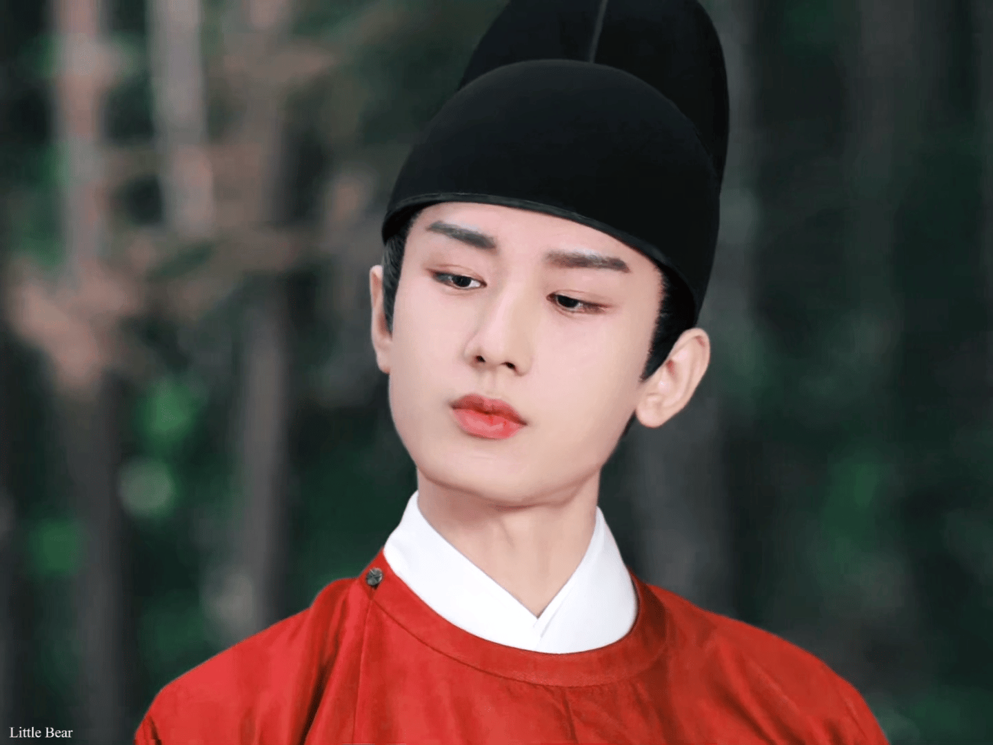 电视剧与君歌成毅与君歌 cy 成毅齐焱成毅，你的一个不经意回眸，便让我的整个世界