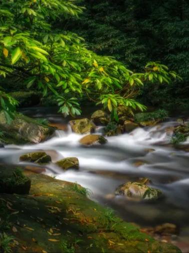 无视现实者，终被现实刺痛；直面现实者，反能在裂缝中长出春天。

我曾在梦里筑起高