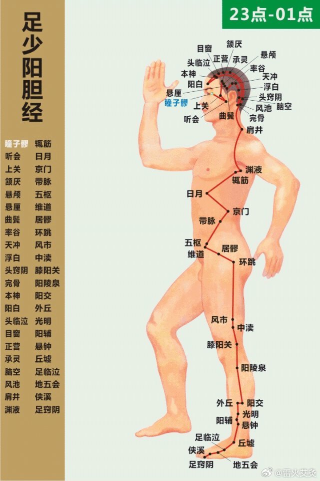 #为什么要早上敲胆经？# 中医理论中，胆能逐日逐时逐方位输注阳气给各脏腑经脉，使