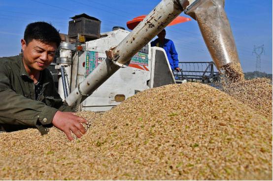 全世界都以为中国是傻瓜，人傻钱多，都在等机会狠狠敲诈中国一笔，巴西大豆握着中国7