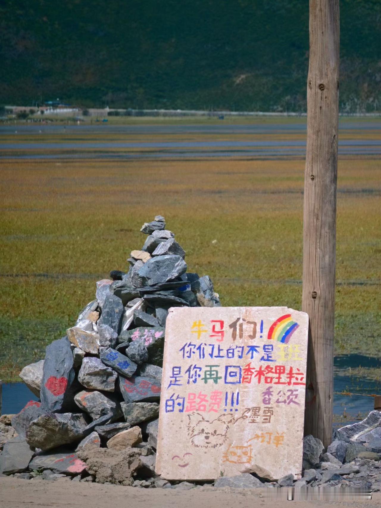 秋日生活打卡季