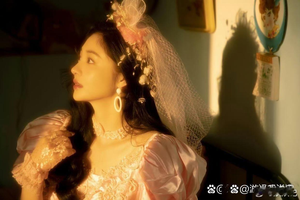 周洁琼送姗姗的婚纱照，粉色复古款，优雅又大气，美得像画里走出来的仙女 