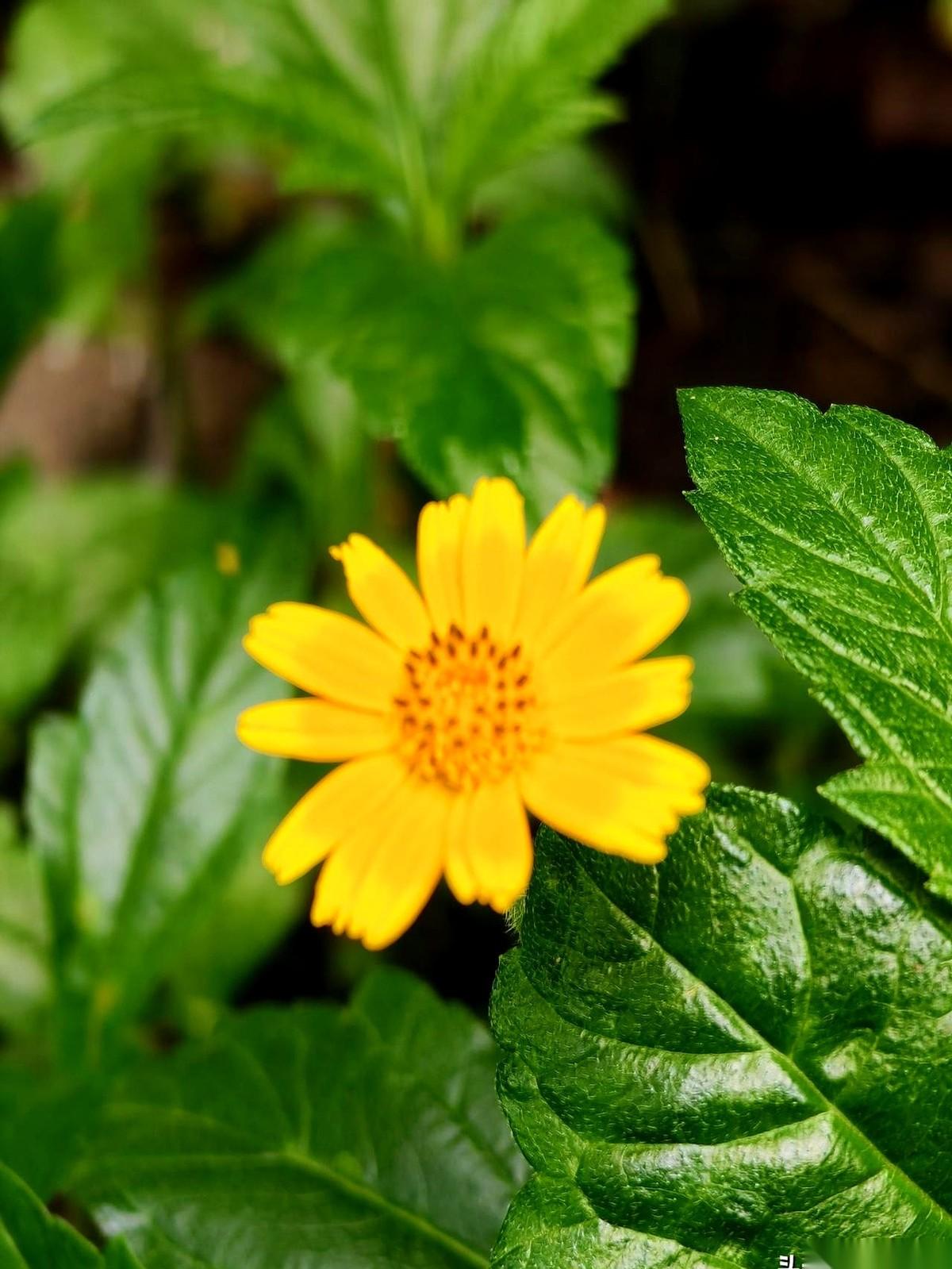 我一个75岁的老头，跟你说句掏心窝子的话，对那点事儿，我念想大着呢。
几个老伙计