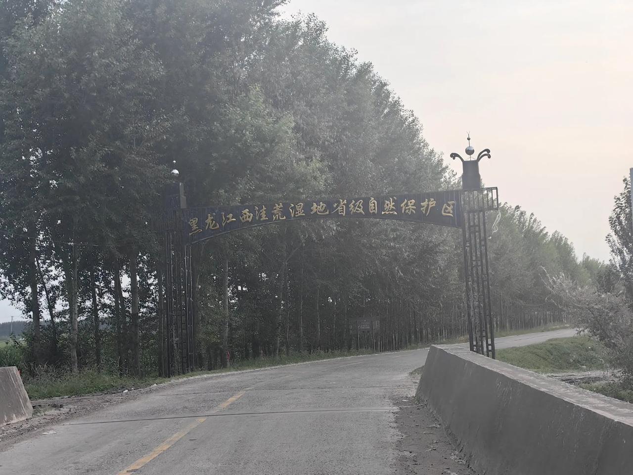 分享城市新鲜事望奎西洼荒湿地，欢迎大家！