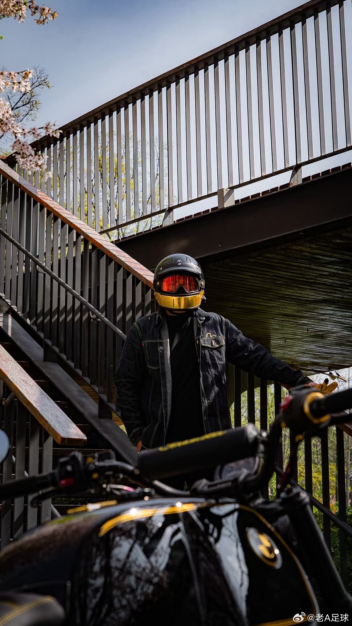 每天立个flag 粉色娇嫩 如何 