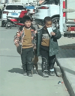 狗狗：这不是回家的路，我不去 