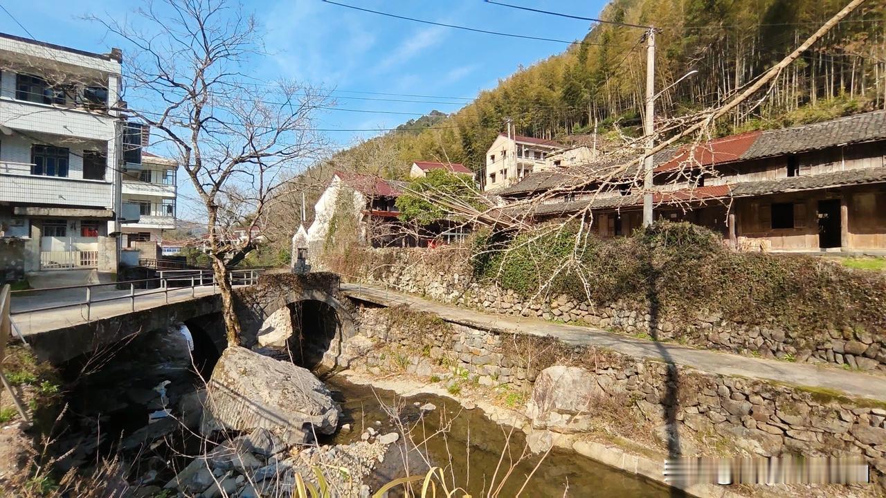 分享一张你相册里的江南照片余姚市陆埠镇庙下张村