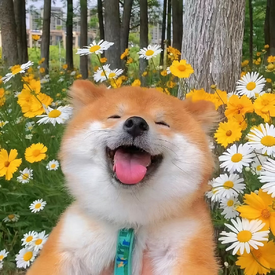 𝗜𝘁’𝘀 𝗼𝗸 ⍤⃝ ᯓ💙       漂亮的一抓一大把      