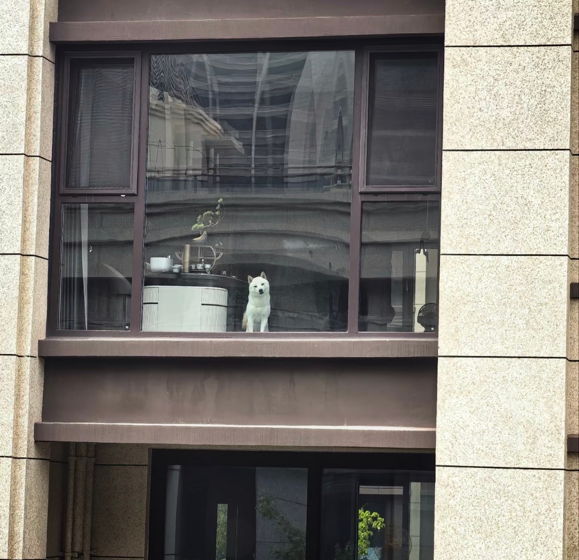 家对面的邻居每天都不穿衣服站在阳台看我 啥意思 