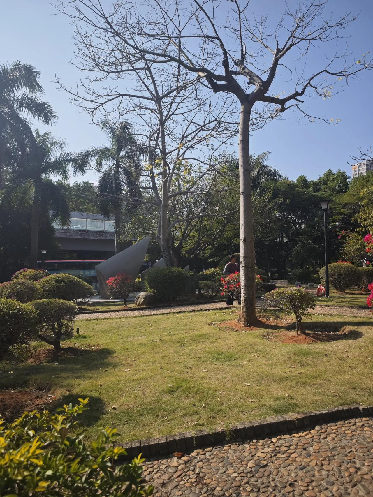 当一个博士还在要为生存奔波的时候，
这个地方还会有发展后驱力吗？
经济的发展主要