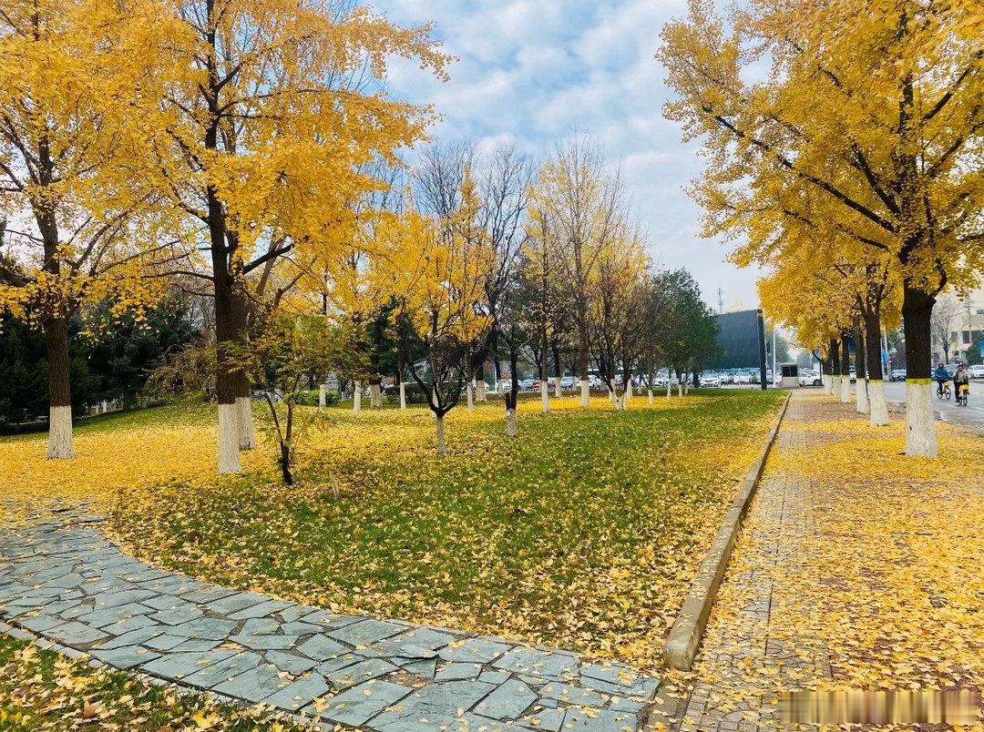 通往光明的道路是平坦的，为了成功，为了奋斗的渴望，我们不得不努力。 