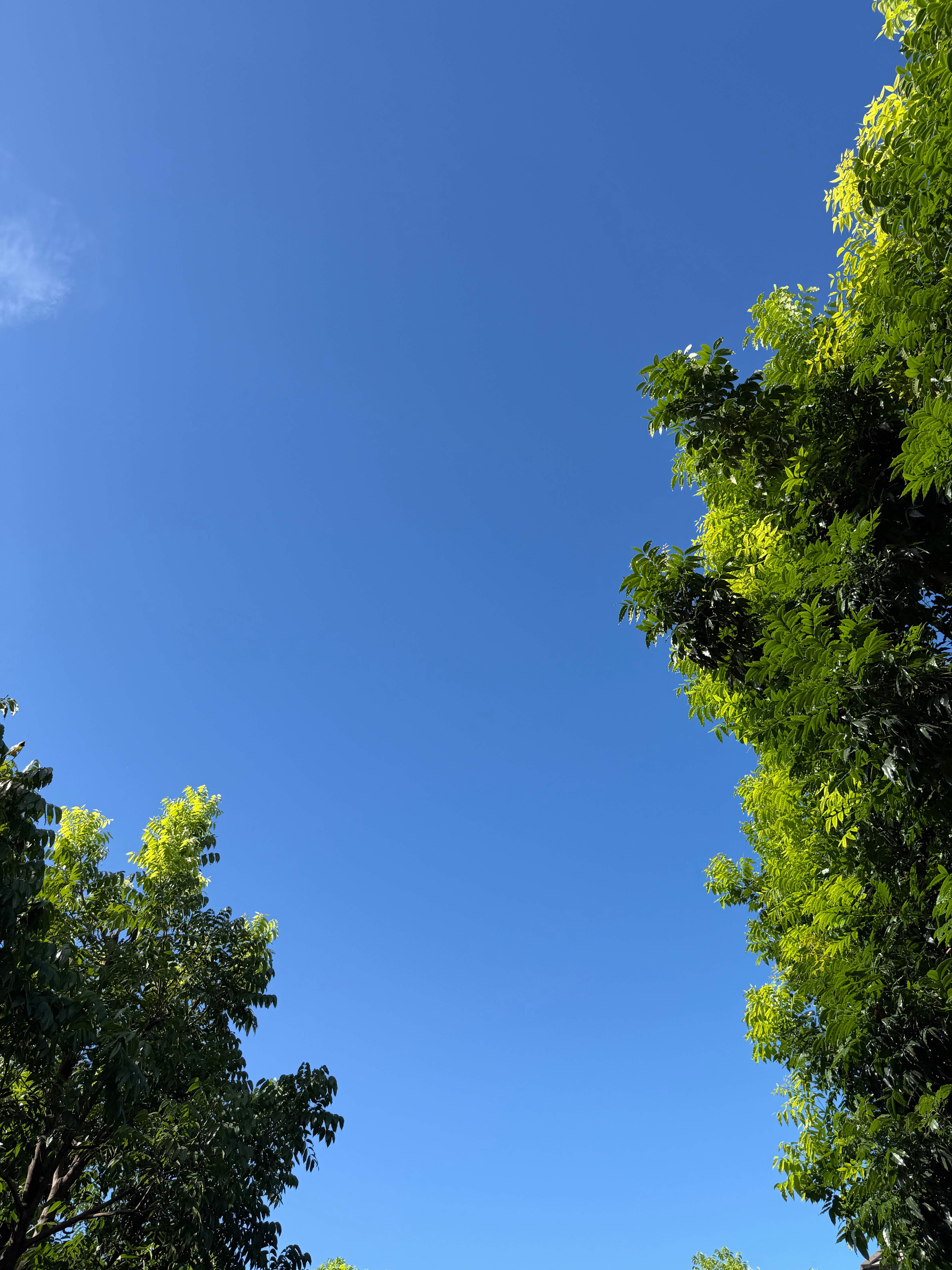 一张图证明我来过这里 路过，说起来曼谷还是雨季，天空蓝得仍是不像话。 泰国·拉玛