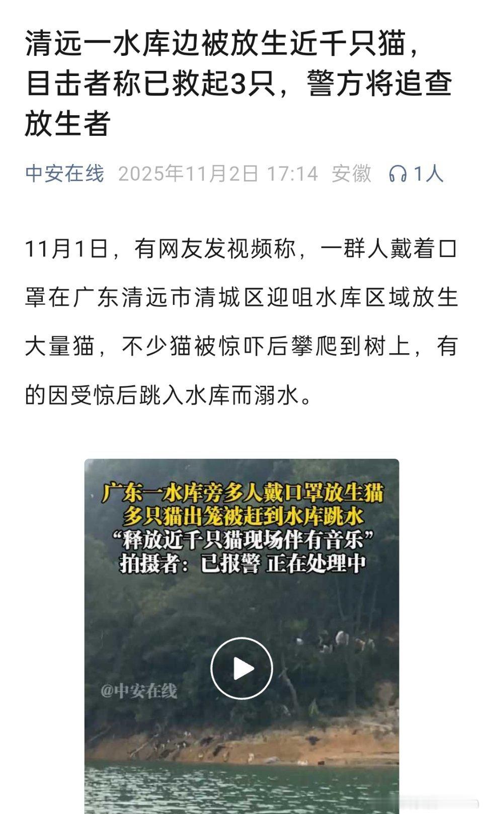 🔻广东清远一水库边被放生大量猫，目击者称已救起3只。当地志愿者介绍，被放生的猫