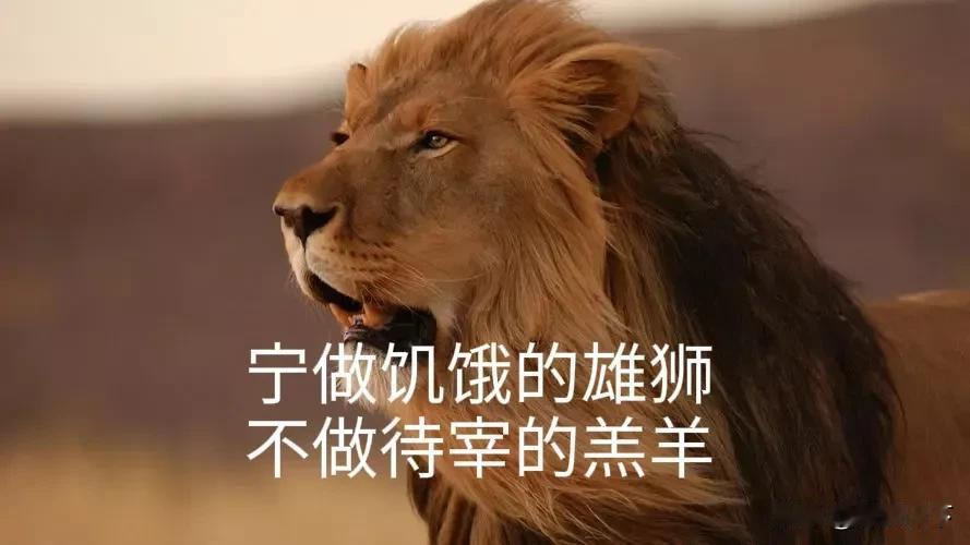强势文化教育，强民强国
我们这代人，是弱势文化教育下的产物，自幼被家长和老师教育