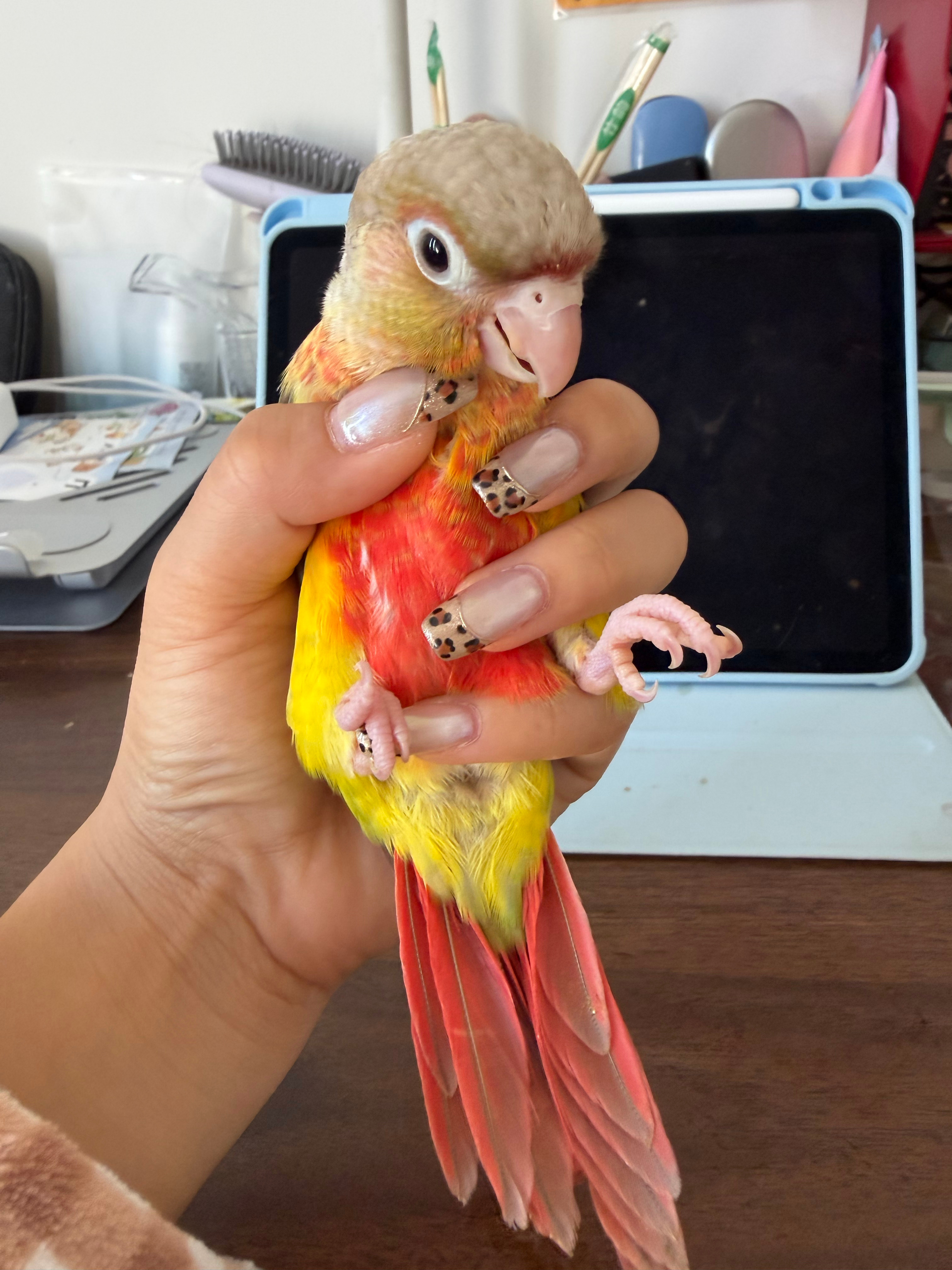 这几天可以先不要做美甲了 正确秀美甲姿势