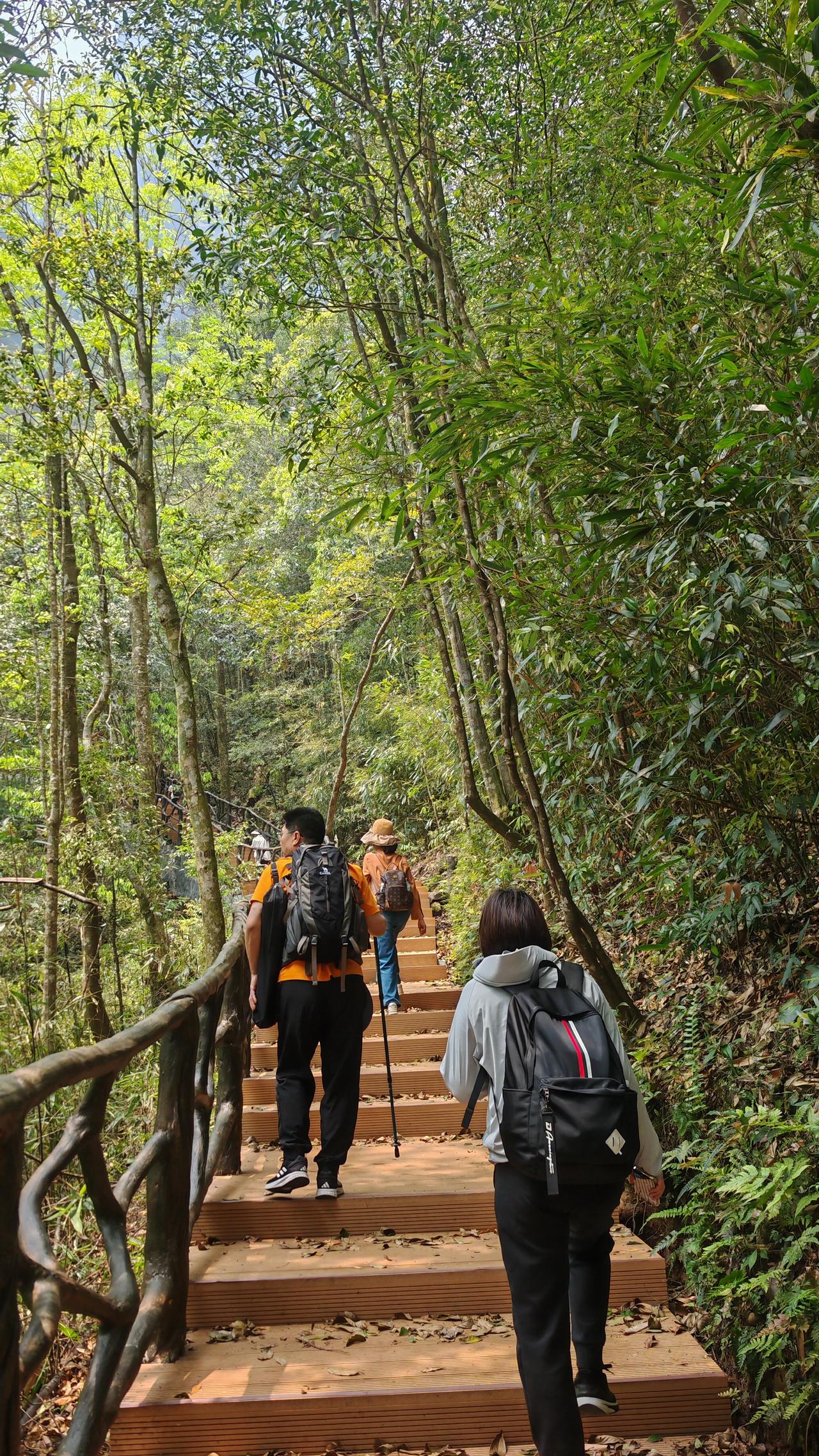 中国摄影圈《春日登金秀圣堂山》（一）
