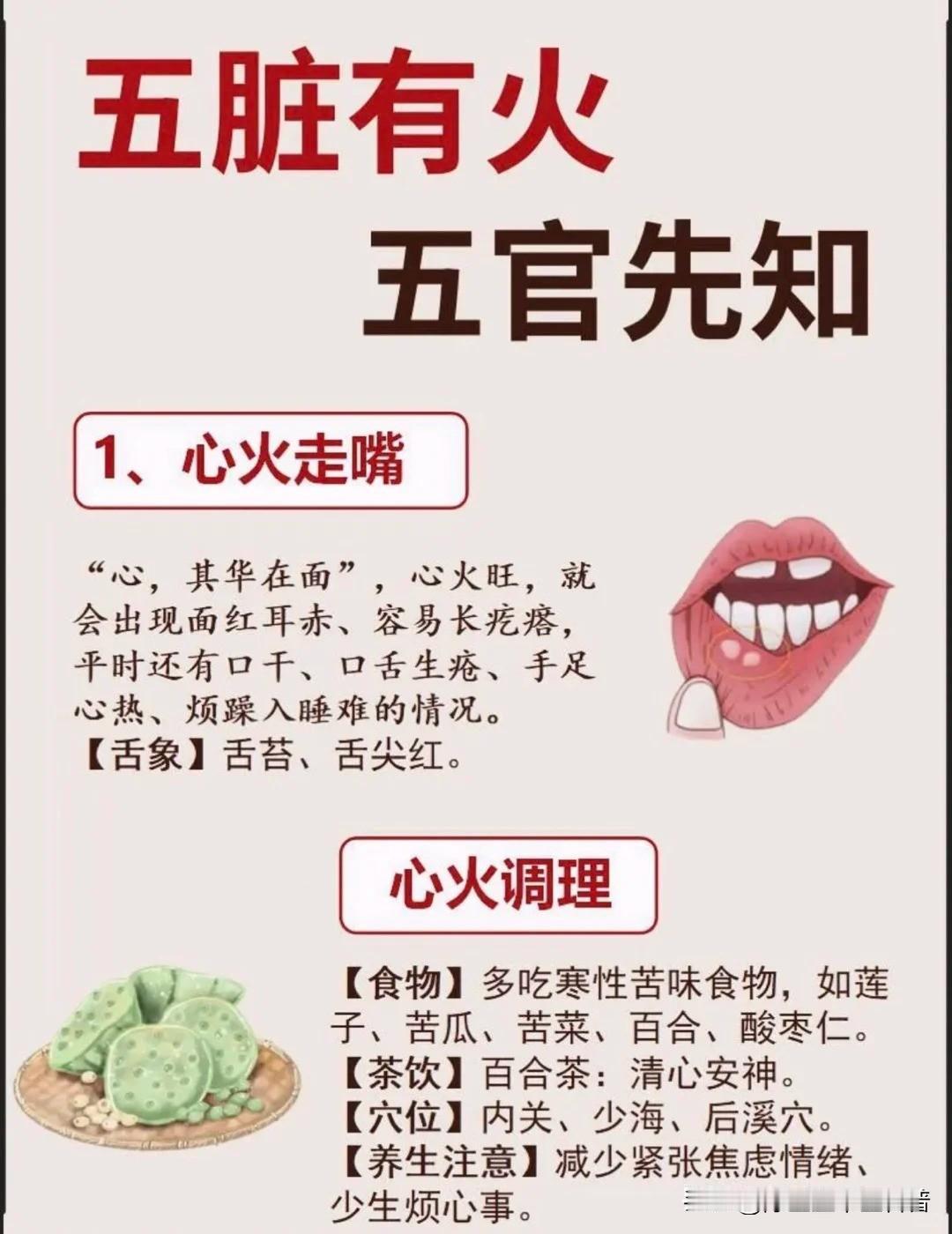养生之道，在于倾听身体的细语，以温柔的方式呵护它。让养生成为日常，健康自会如影随