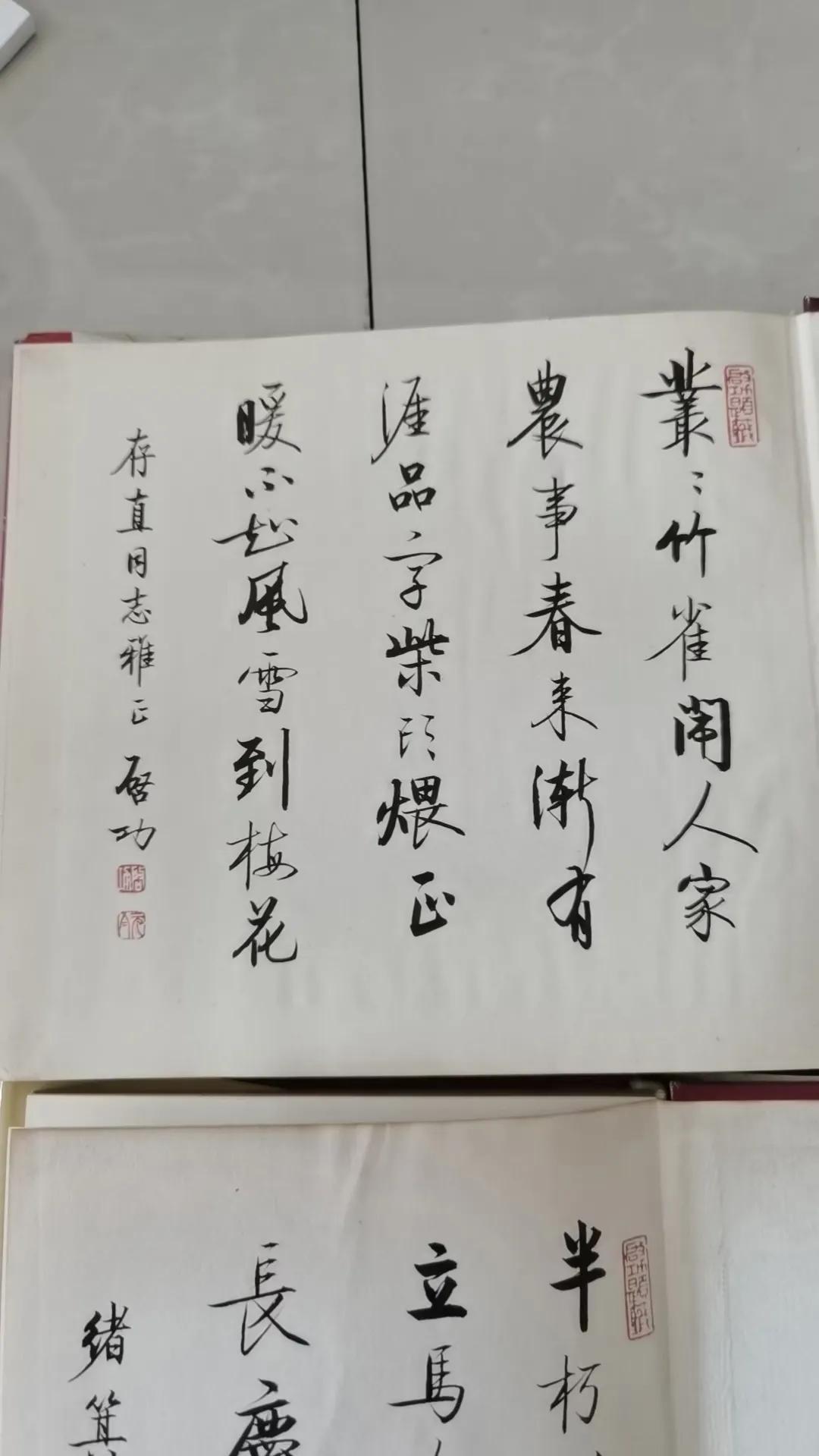 这两幅作品极富迷惑性，算是学的比较接近启功先生了。但是离启先生的节奏美线条美还差