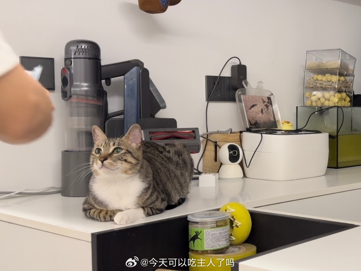做小萌宝样子 
