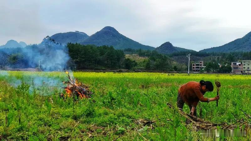 年轻人在农村干农活一点不丢人！农村空气清新，蔬菜绿色健康。有姐妹想回农村过养鸡种