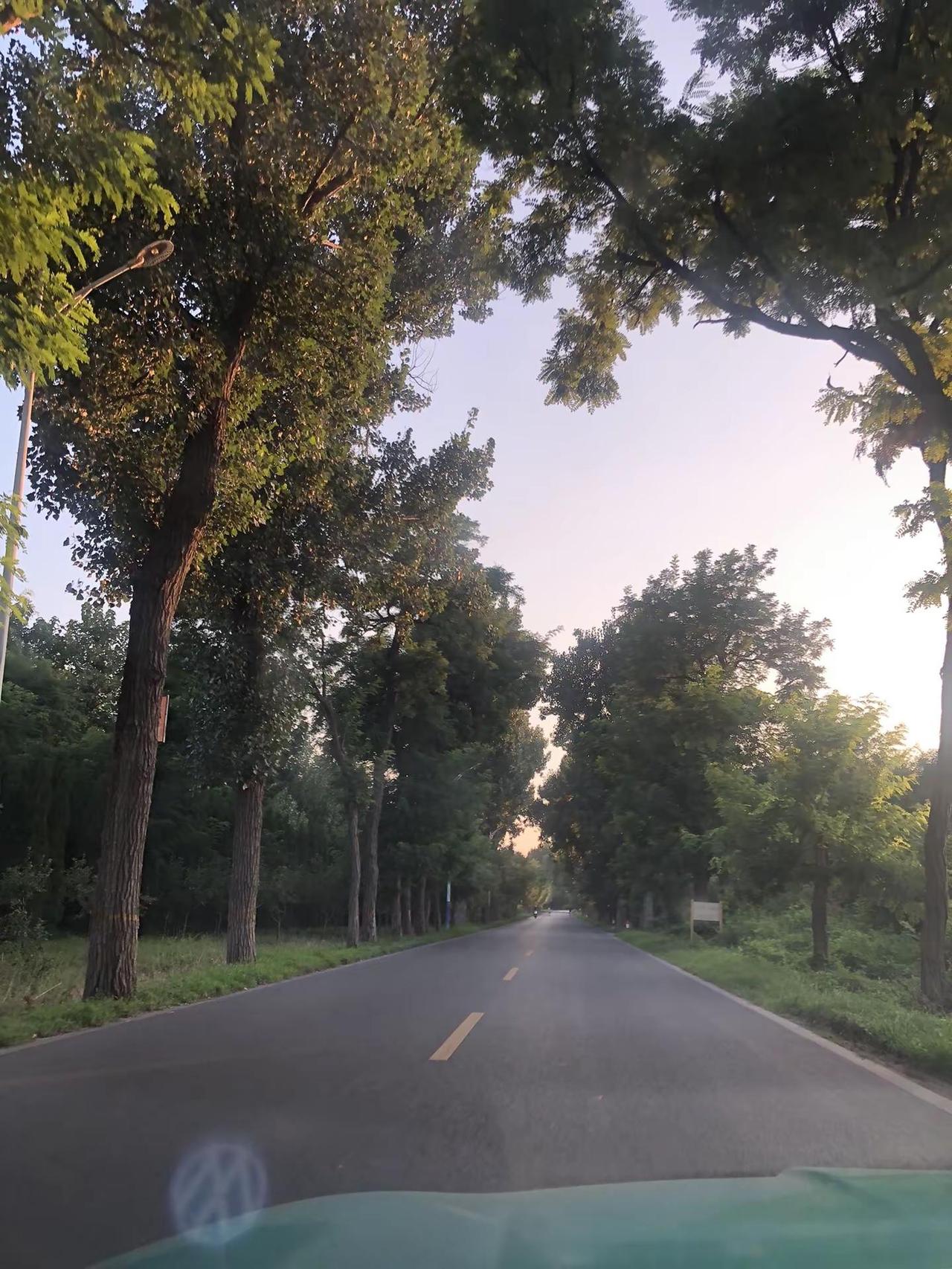 XXX🈵️🈵️🈵️音源玩法合伙人计划 情绪音乐玩法新风向