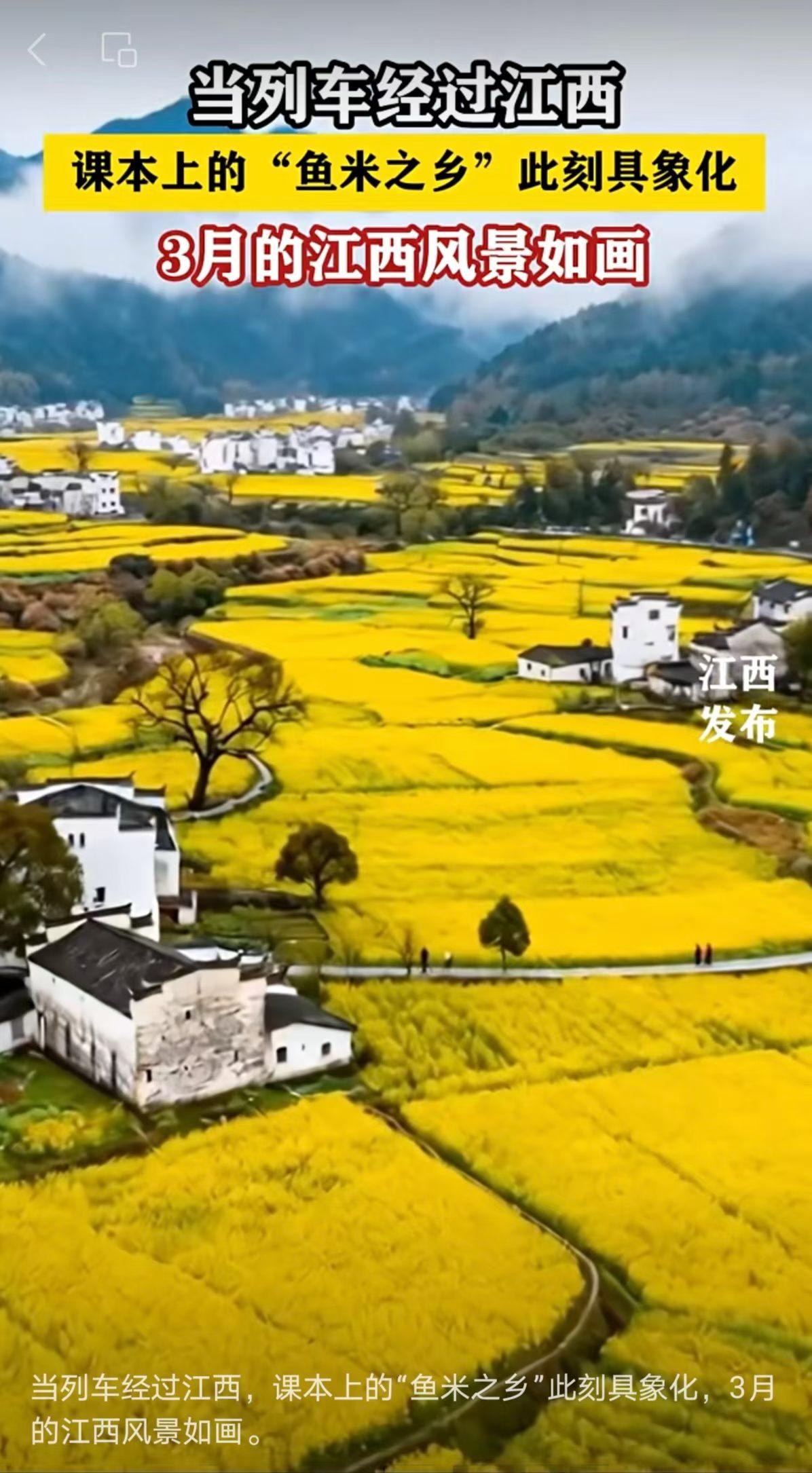 你能想象吗？这是现在的江西！
可以想见，看着这样的风景，真的很解压，很治愈。不只