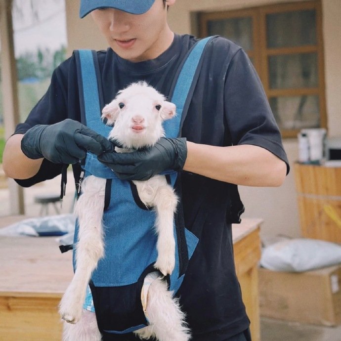 蒋敦豪生日快乐呀晴天每年今天都超有仪式感，春分快乐，晴天生日快乐呀✨种地吧