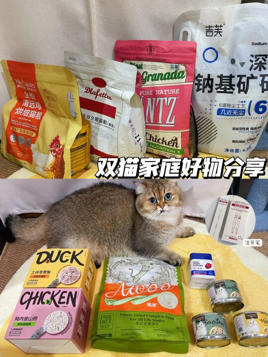 多猫家庭｜三月囤货日记