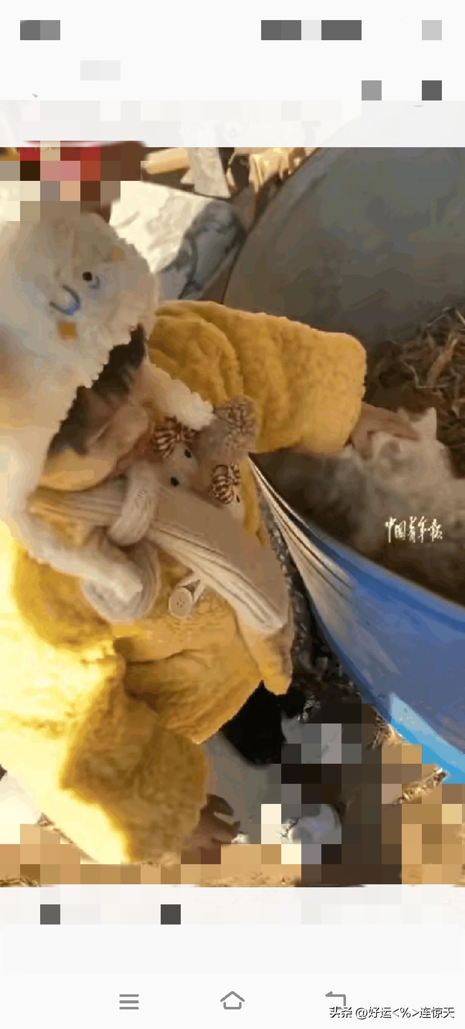 解释不清了！宁夏男子把家里养的小羊装到想装集市去卖，其他小羊都被顺利买走，唯独有