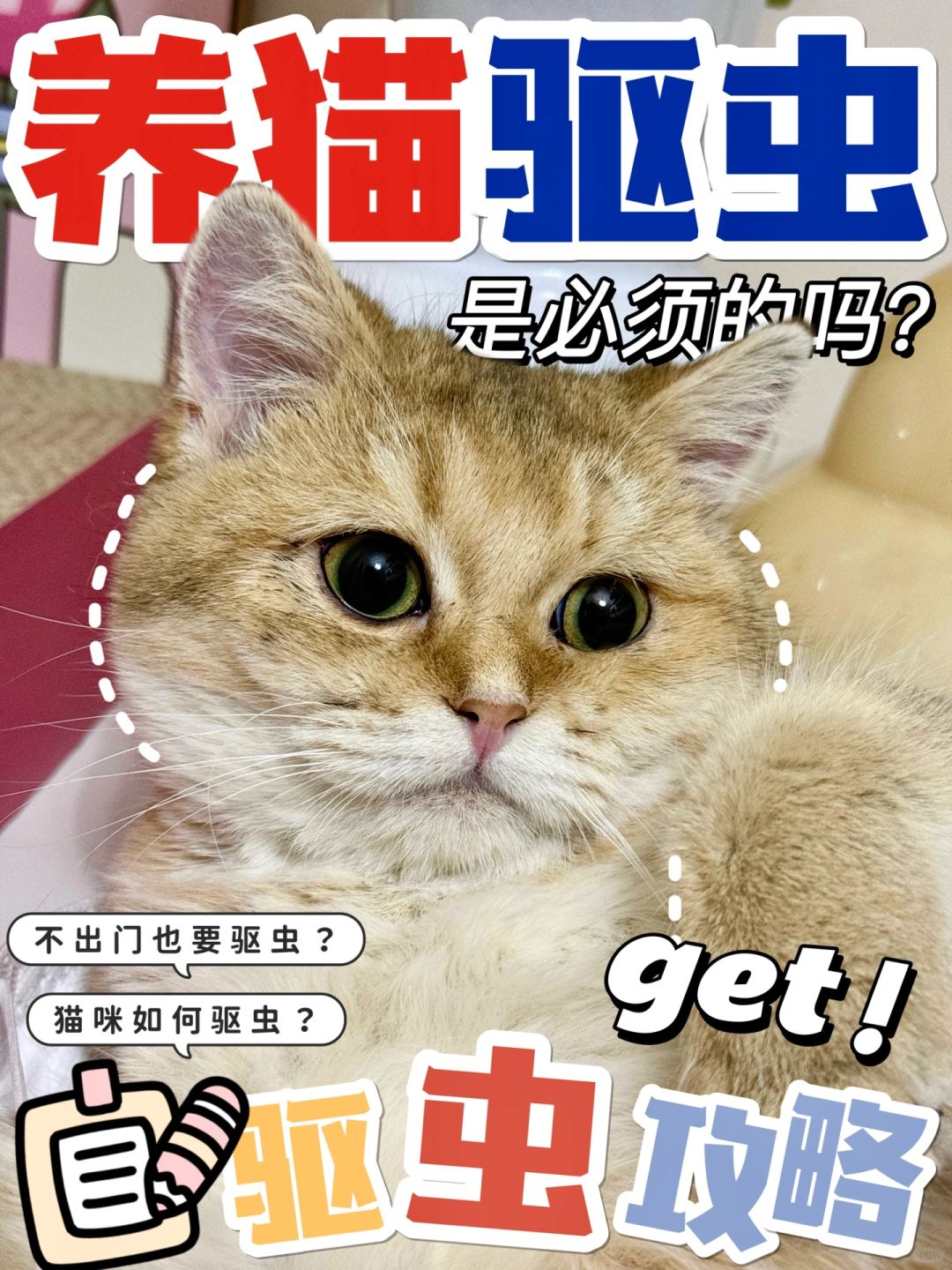 这次我只想让姐妹们简单明了的了解驱虫‼️