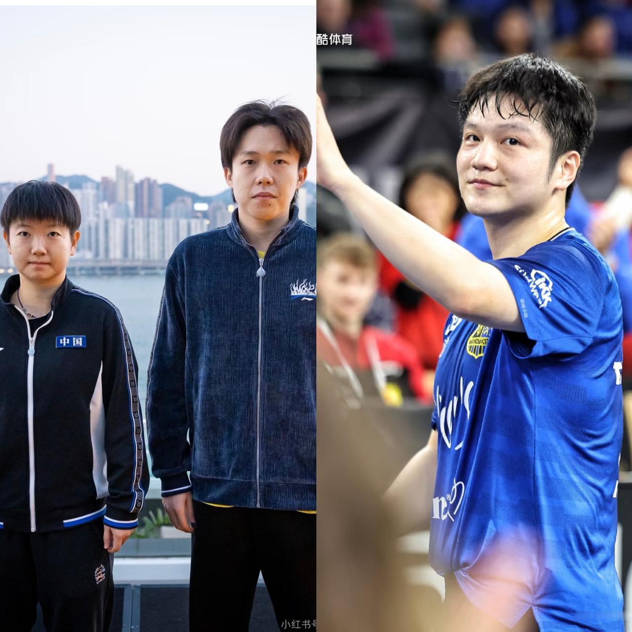 莎头和樊振东的粉丝画像，区别真挺大的。

喜欢莎头的粉丝，通常是这4类人：

1