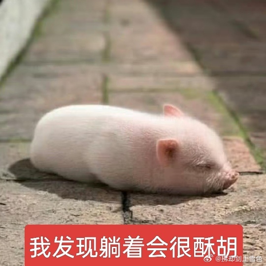 我看完了os再复习一下就去睡觉了 