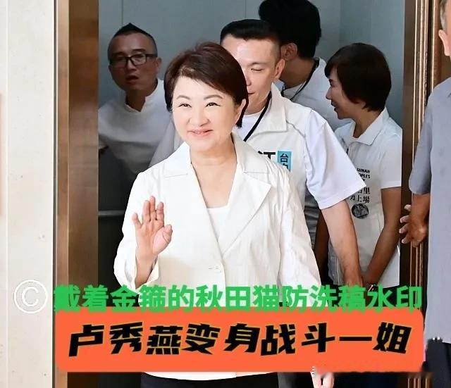 “不粘锅”变身“战斗一姐”？
蒋万安强势崛起，卢秀燕终于坐不住了，2028呼之欲