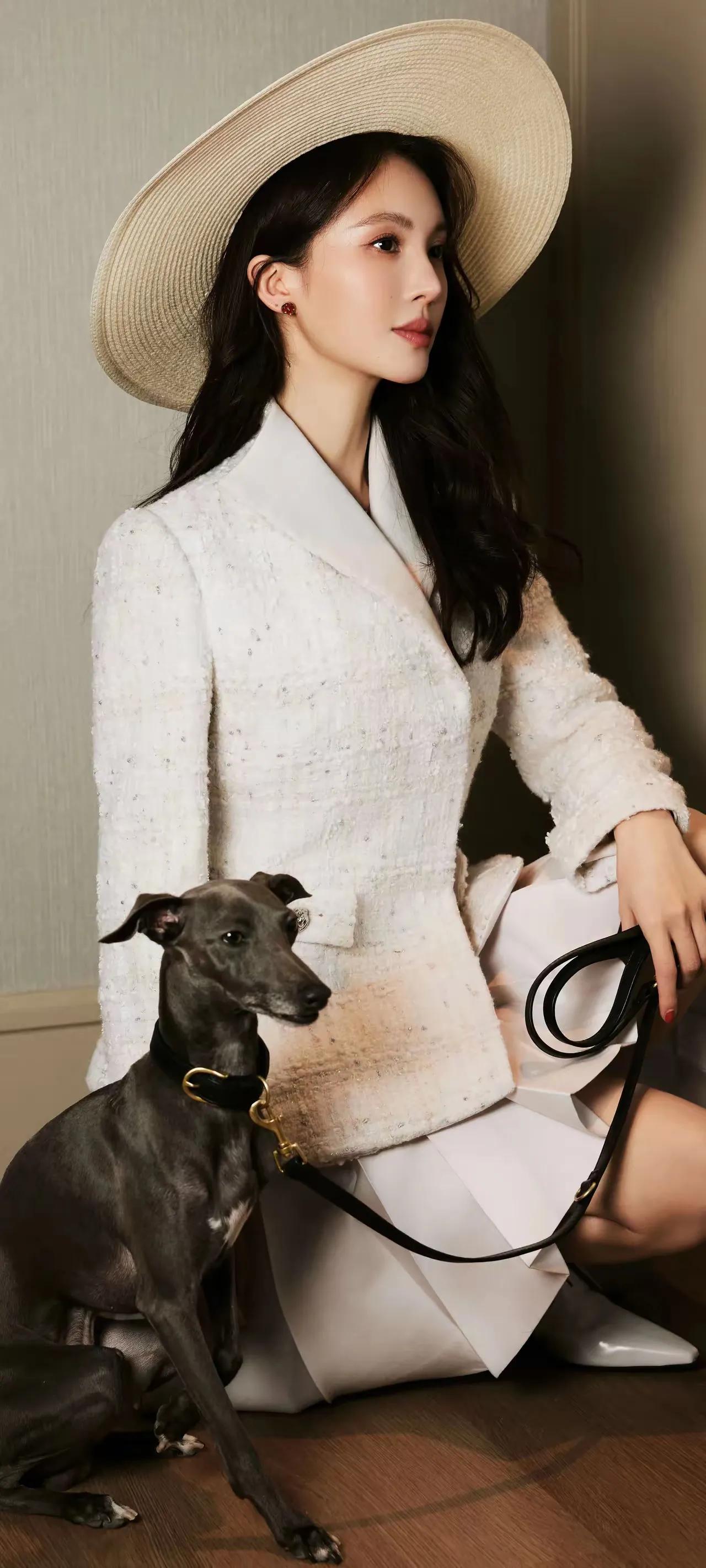 金晨美图分享，气质高雅，自信迷人美女明星照分享 女神图来袭 女神美照鉴赏 黄羿美